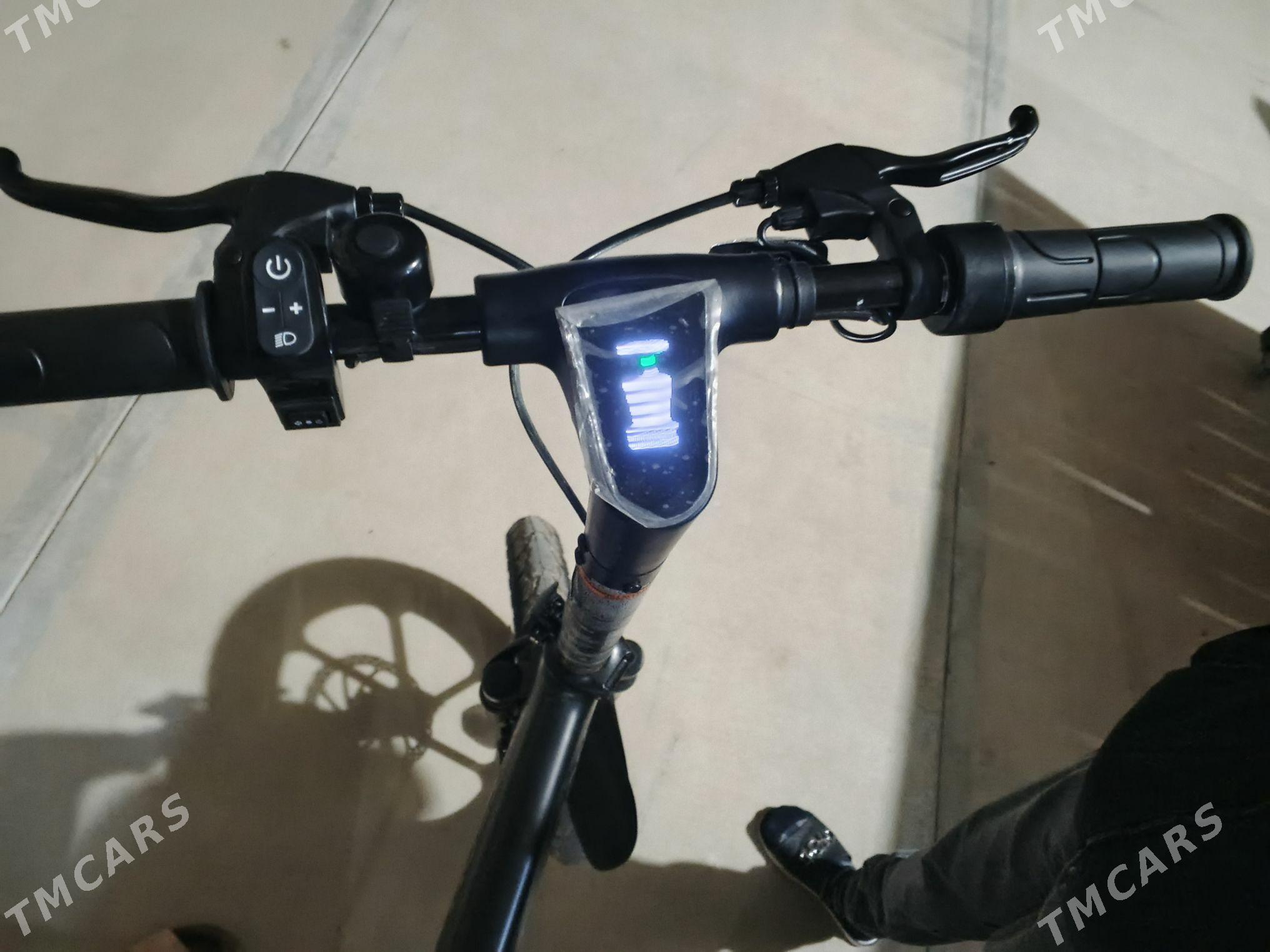 welsapet tokly zarýatnikli - Мары - img 2