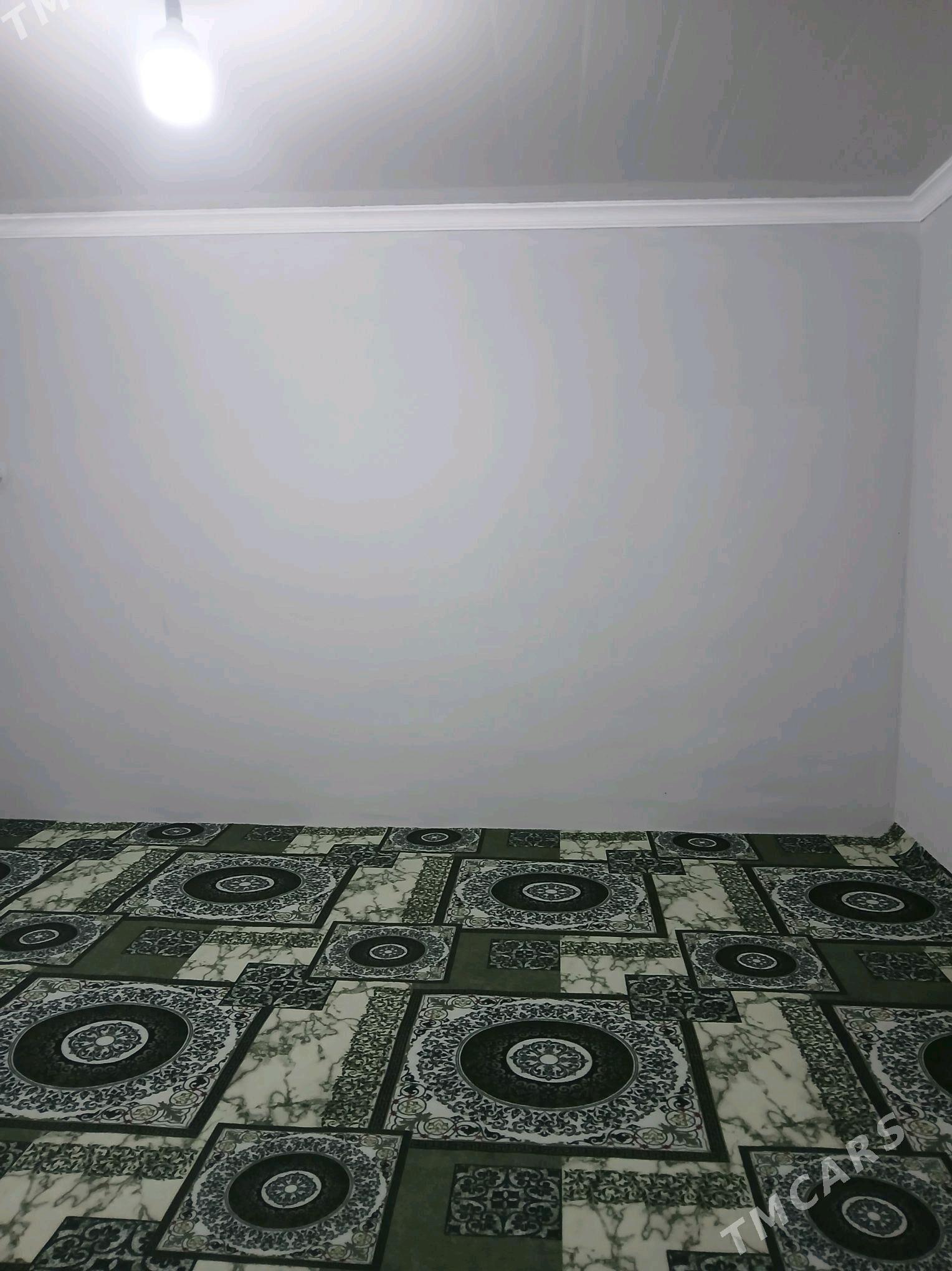 Jay kwartira - Änew - img 3