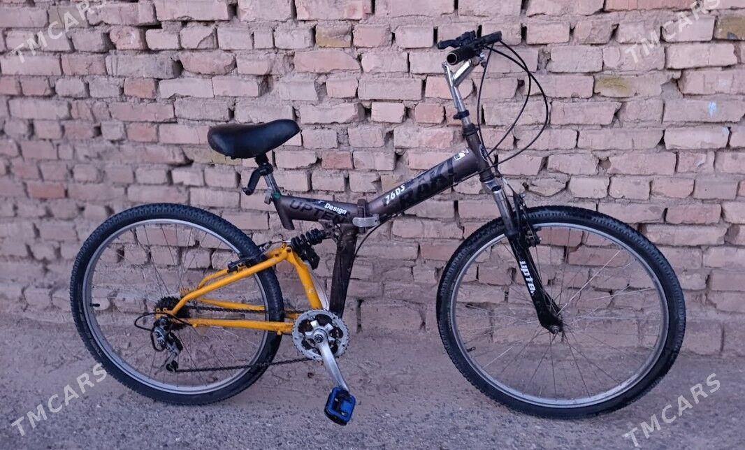 Amesatr velsepet - Mary - img 3