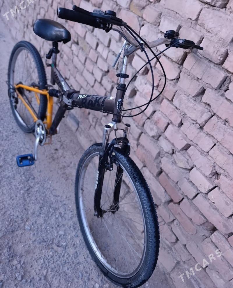 Amesatr velsepet - Mary - img 4