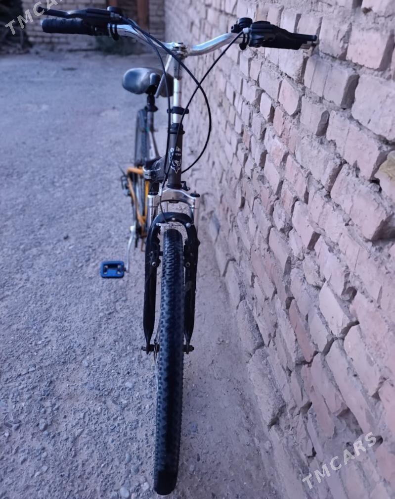 Amesatr velsepet - Mary - img 2