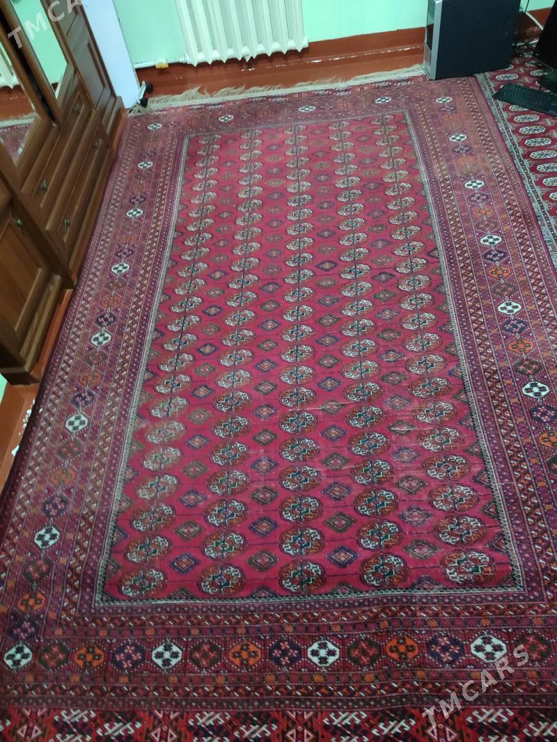 El haly - Parahat 4 - img 2