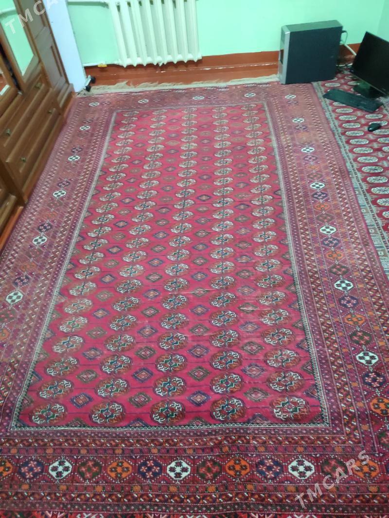 El haly - Parahat 4 - img 1