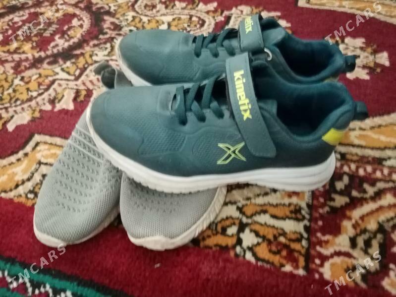 ayakgap - Sakarçäge - img 4