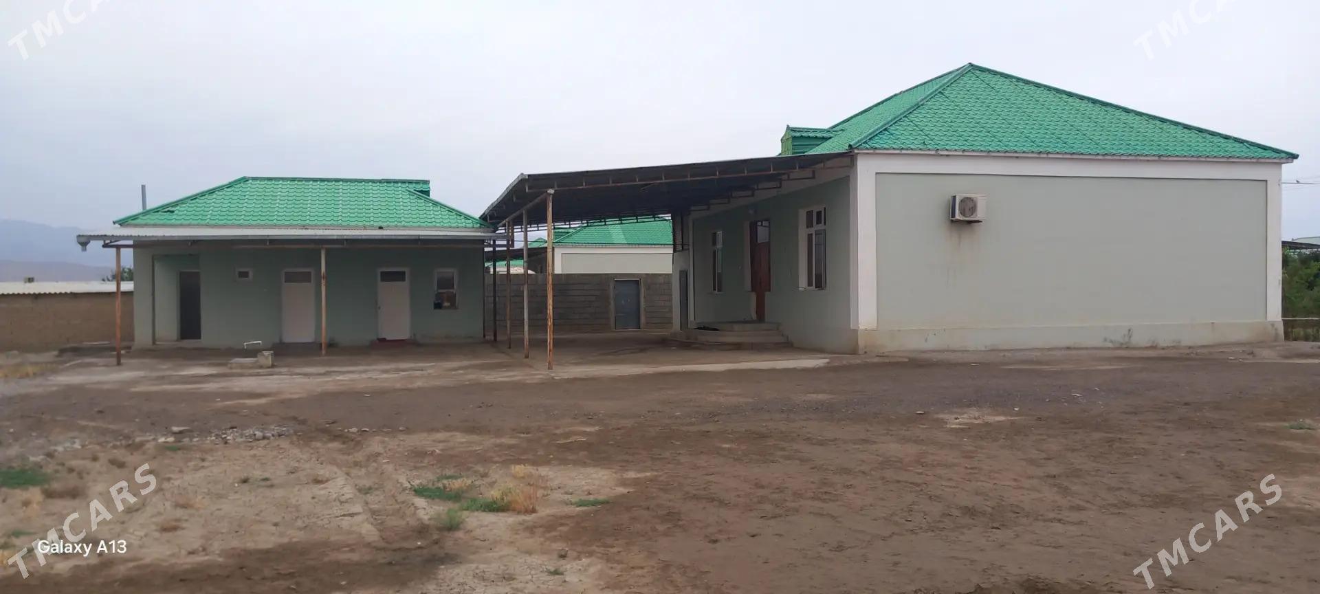 Şatlyk jay Ahal welayat ýaşlyk - Яшлык - img 2