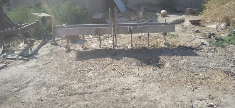 MTZ 80 2000 - 130 000 TMT - Фарап - img 6