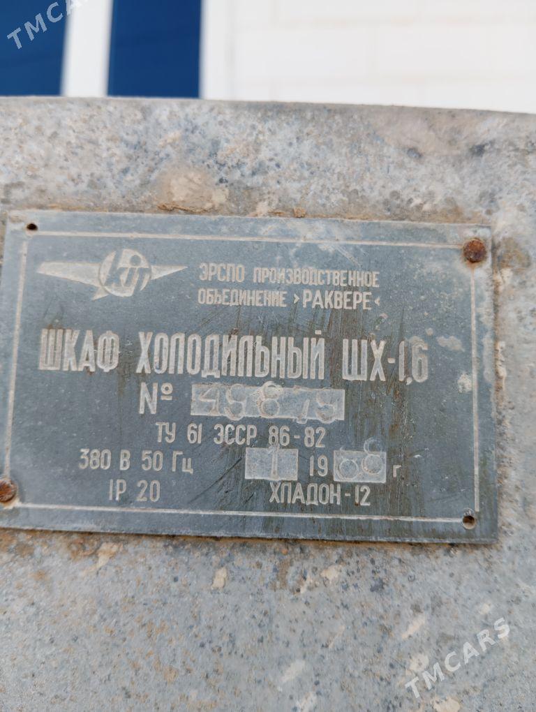 Uli haldenik - Ёлётен - img 2