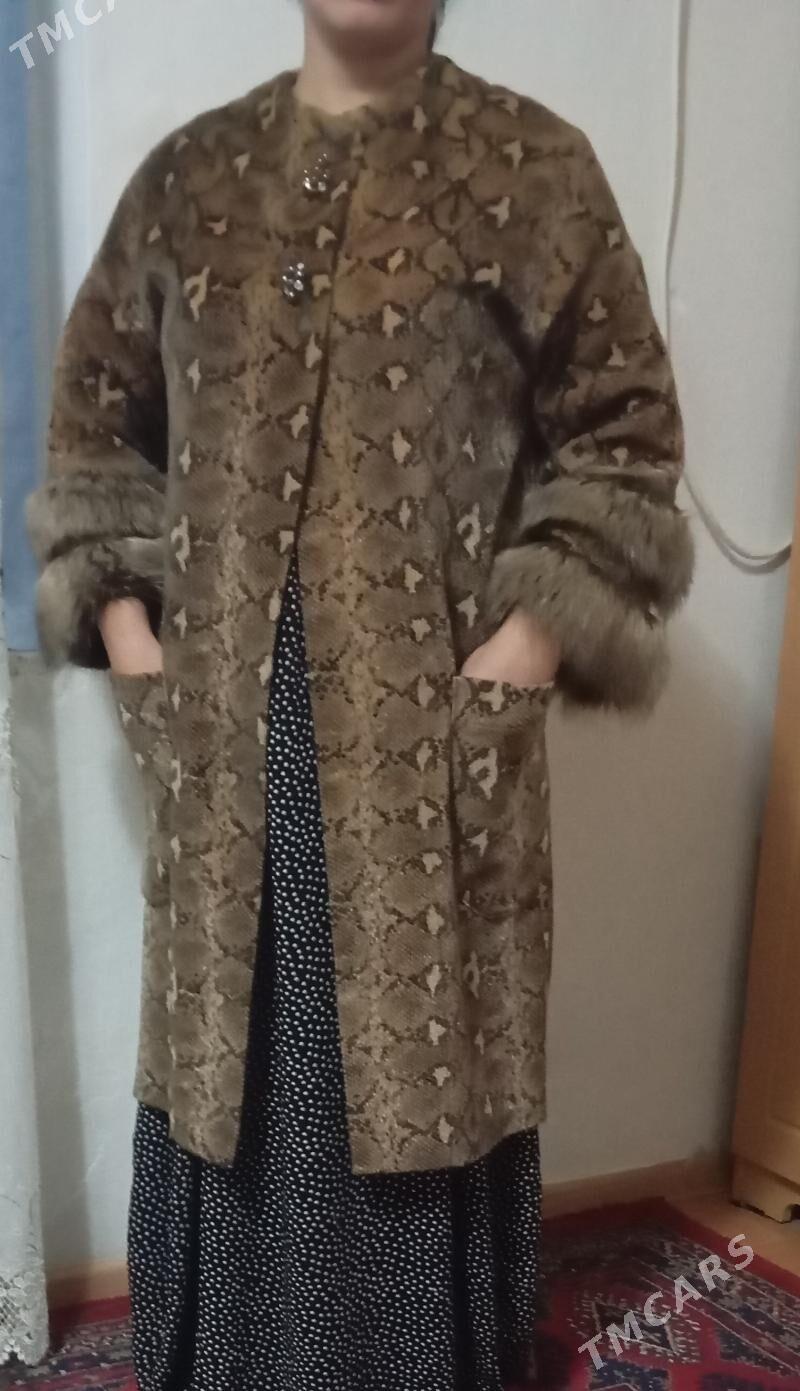 palto - Gumdag - img 1