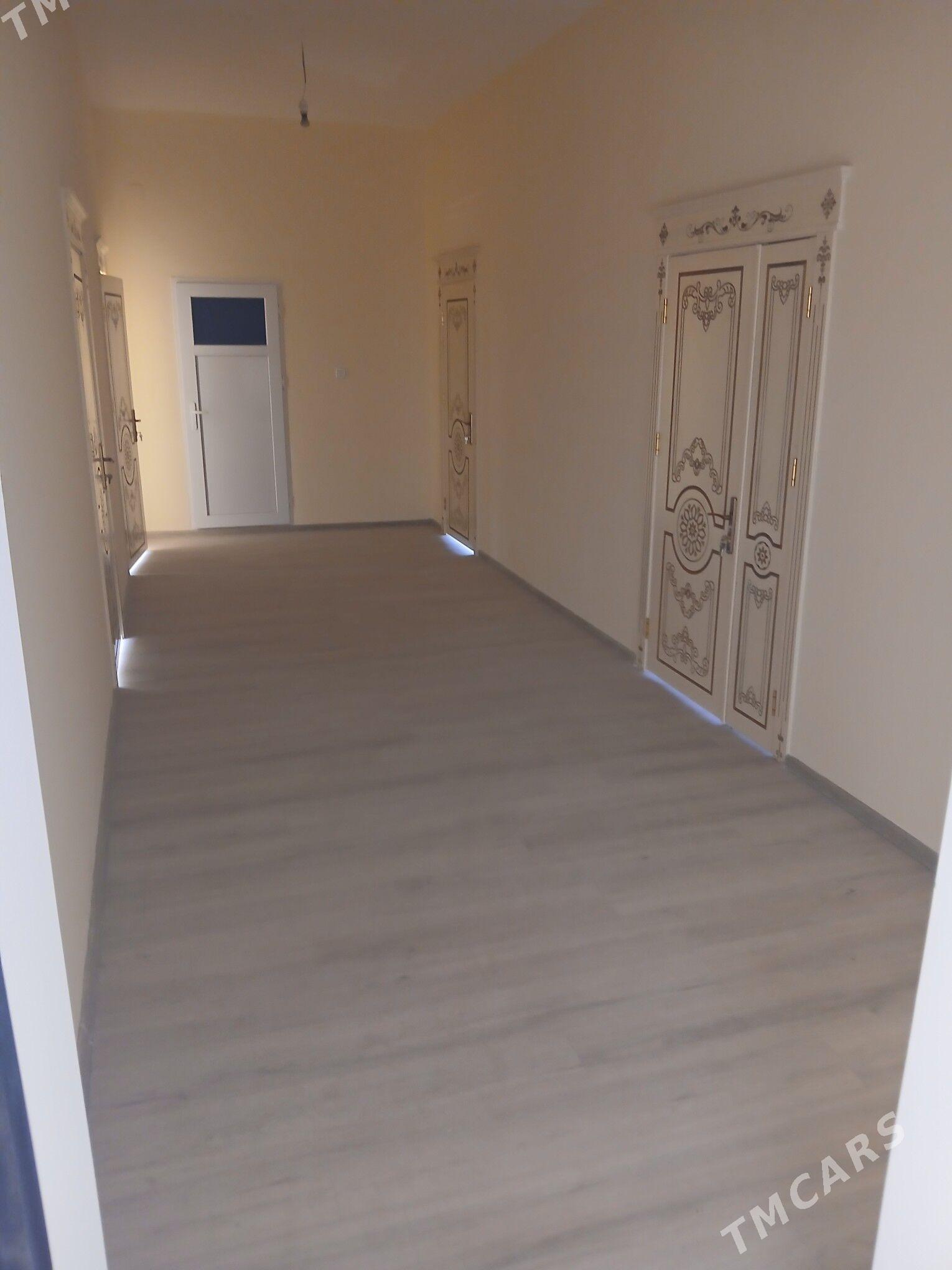 Elitga jay. - Daşoguz - img 1