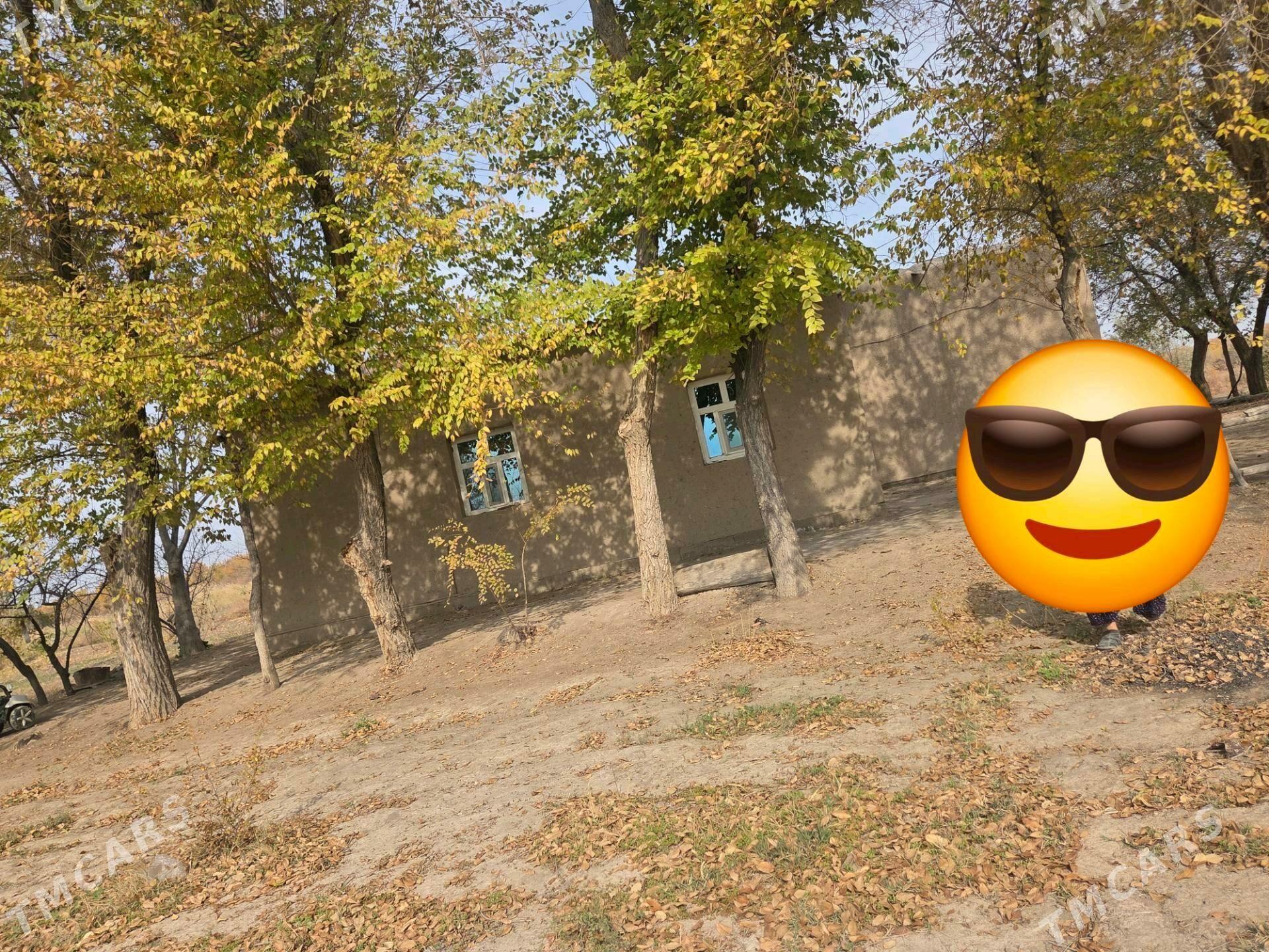 Satlyk jay - Boldumsaz - img 2