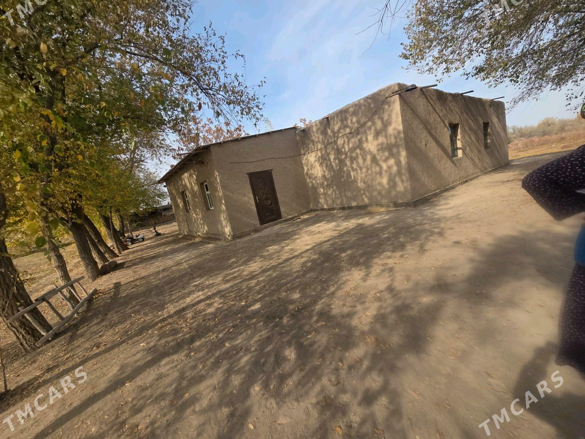 Satlyk jay - Boldumsaz - img 3