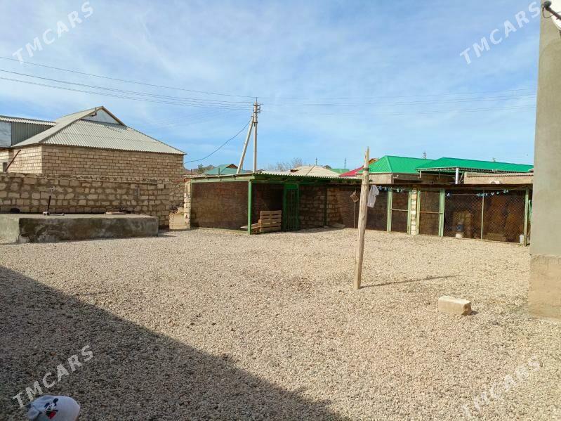 Pylan jay - Туркменбаши - img 5