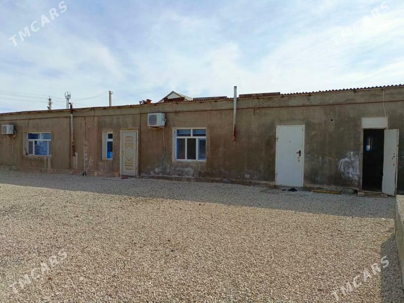 Pylan jay - Туркменбаши - img 6