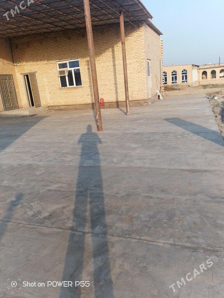 меллек  жай - Саят - img 7