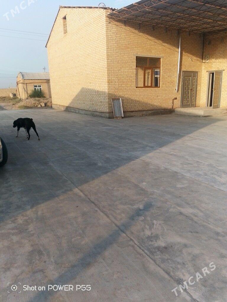 меллек  жай - Саят - img 8