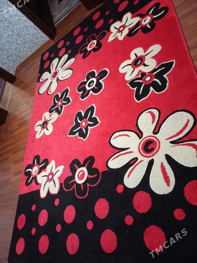 haly - Balkanabat - img 1