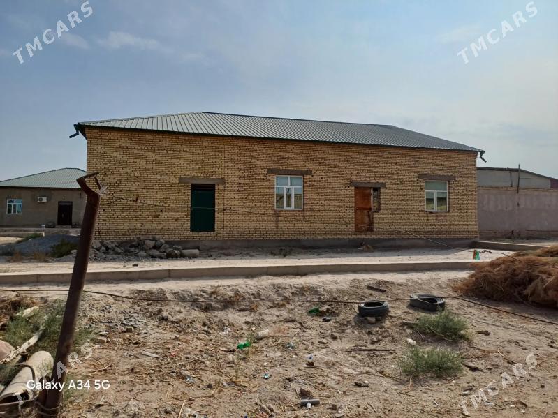 gulstan jay - Daşoguz - img 2