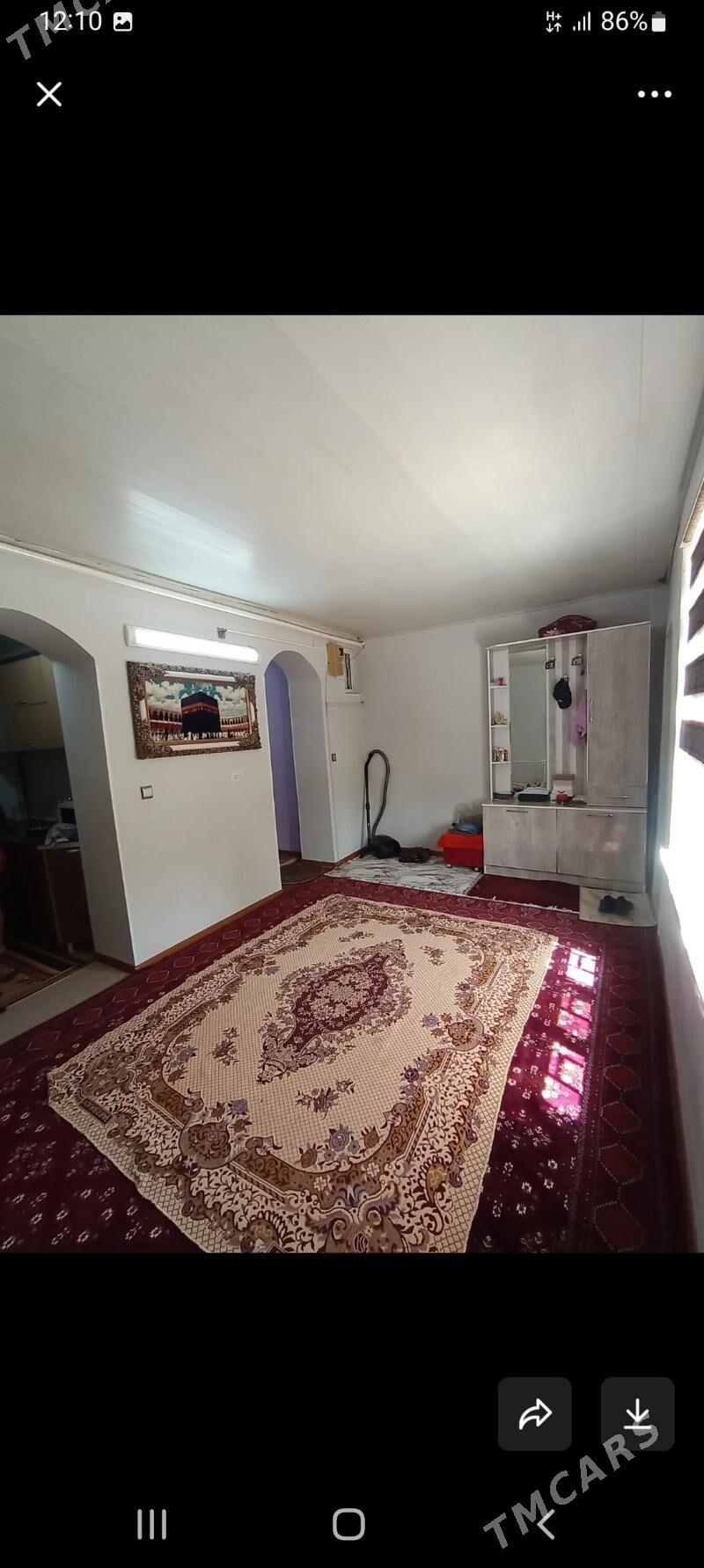 Jay - Balkanabat - img 4