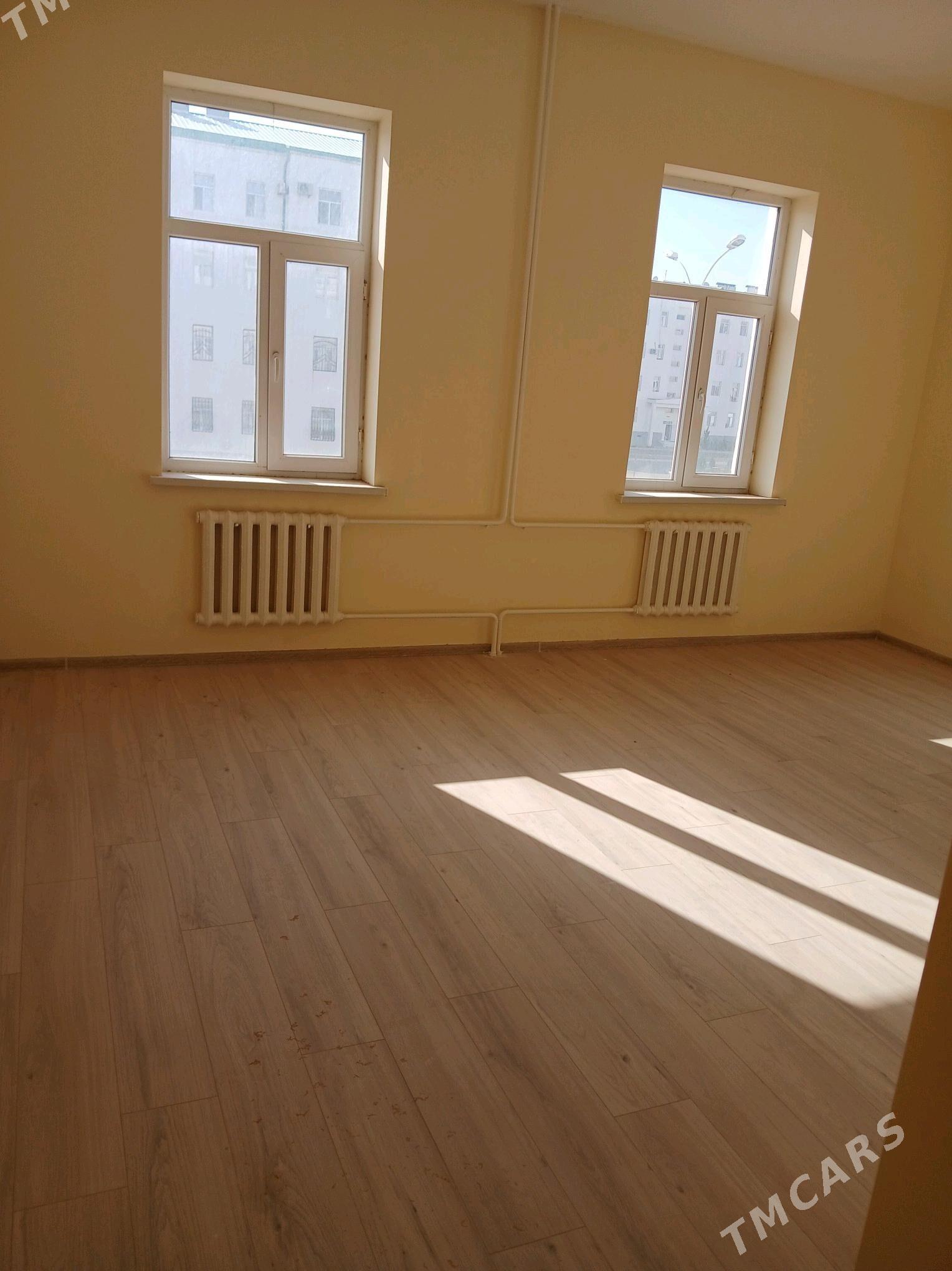 Elitga jay. - Daşoguz - img 4