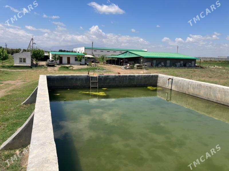 15 гектар - Aşgabat - img 1