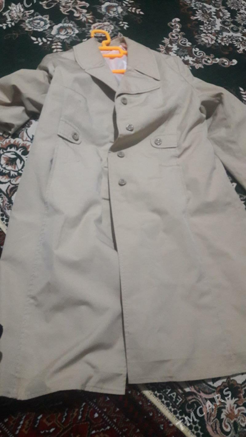 plaş - Хитровка - img 1