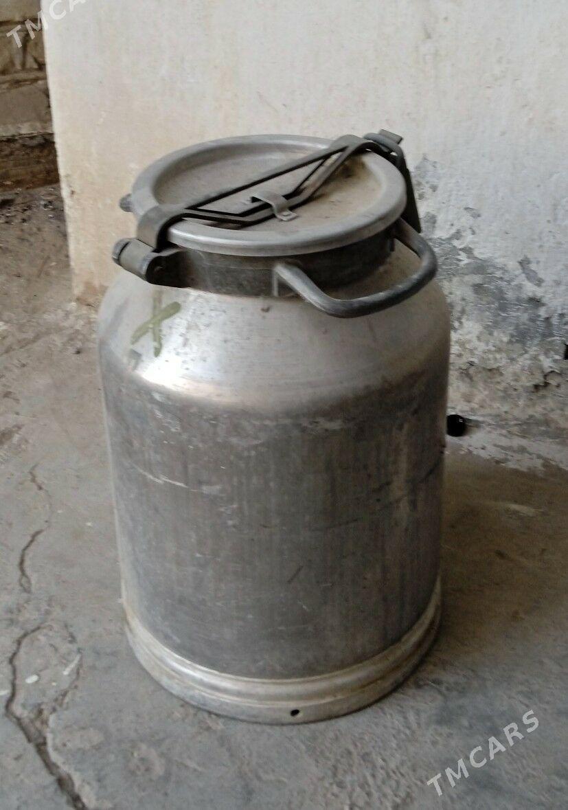 satlyk flyaga - Mary - img 1