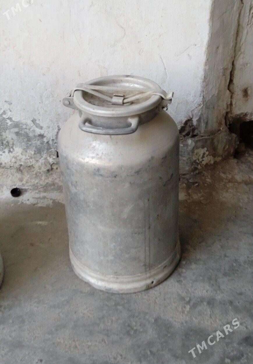 satlyk flyaga - Mary - img 2