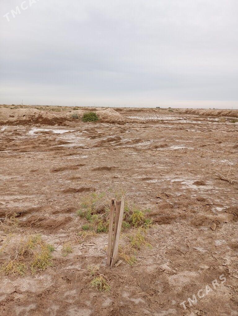 ucaska yer - Şabat etr. - img 2