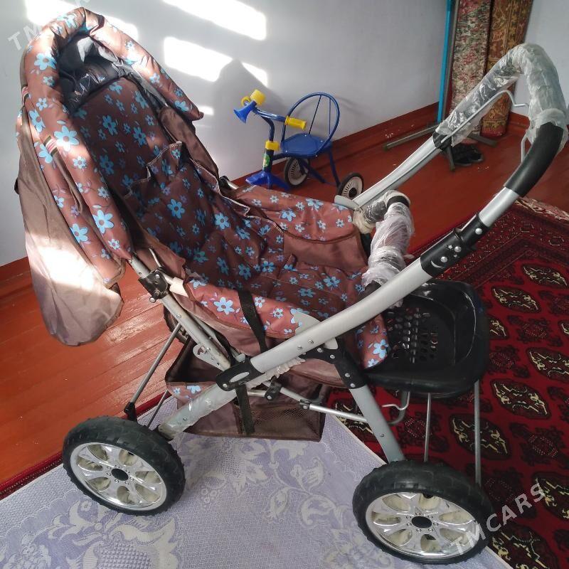 čaga kalýasga - Ёлётен - img 4