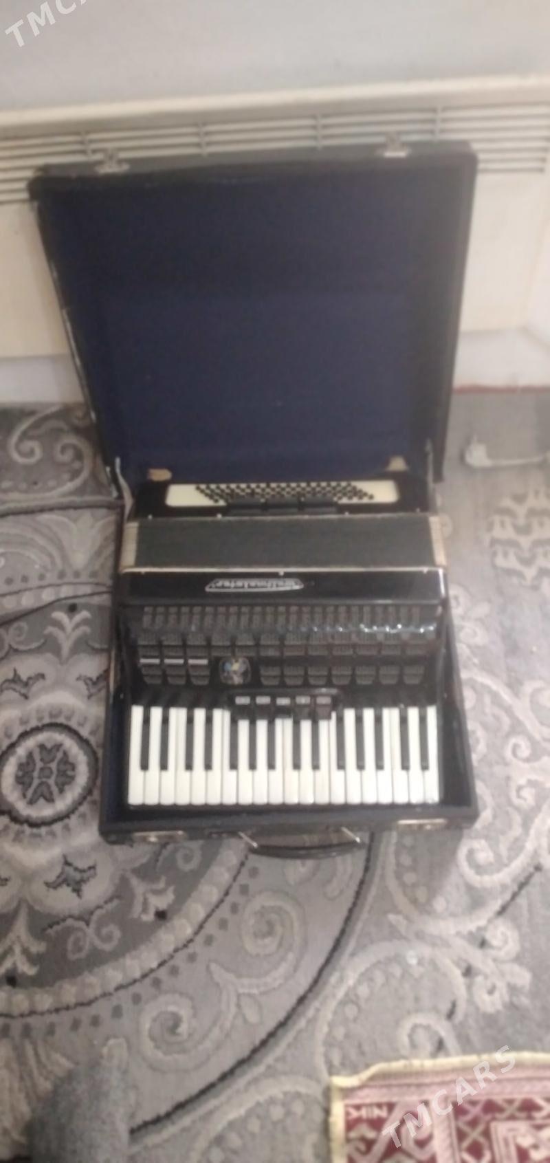 продам срочно акардион - Ашхабад - img 5