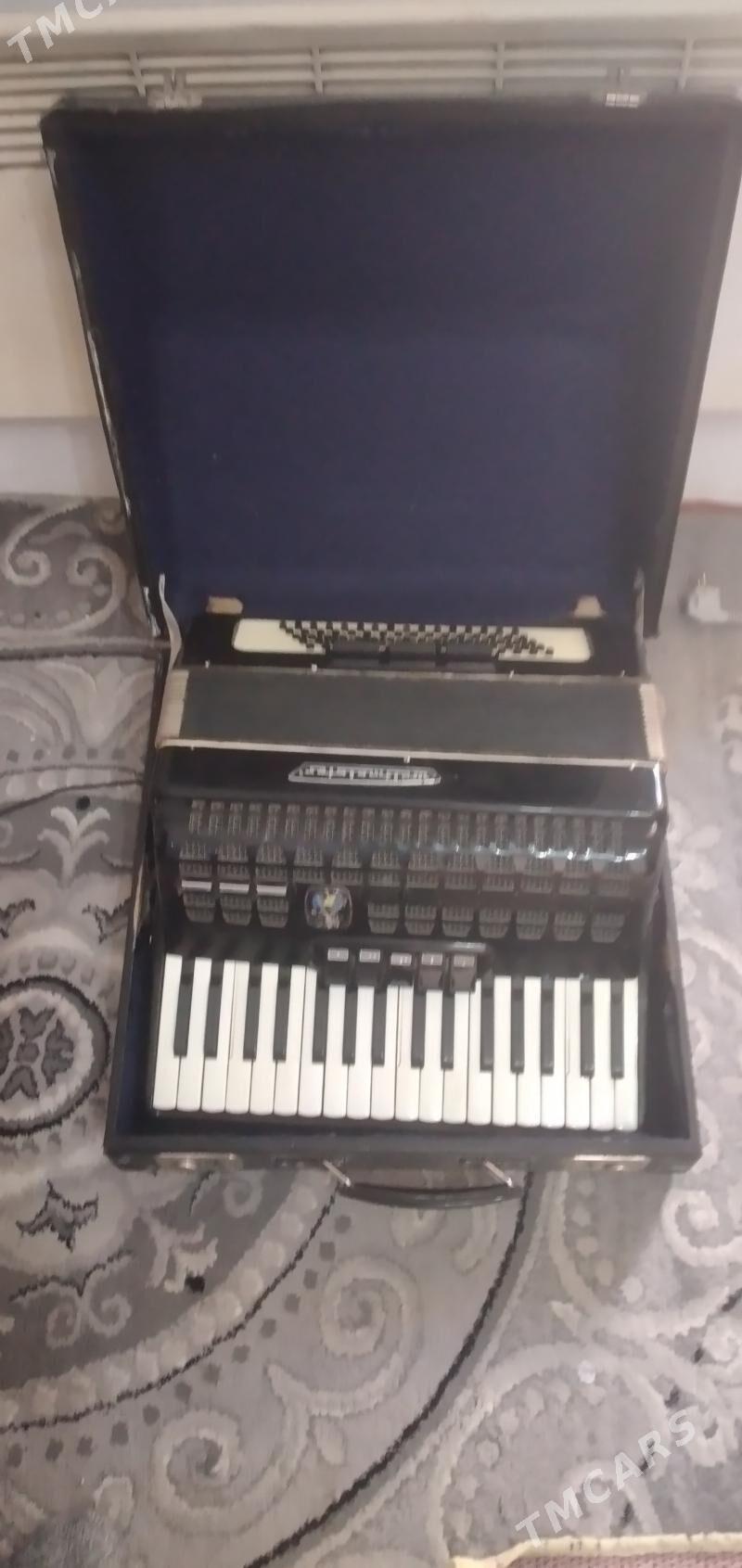 продам срочно акардион - Ашхабад - img 2