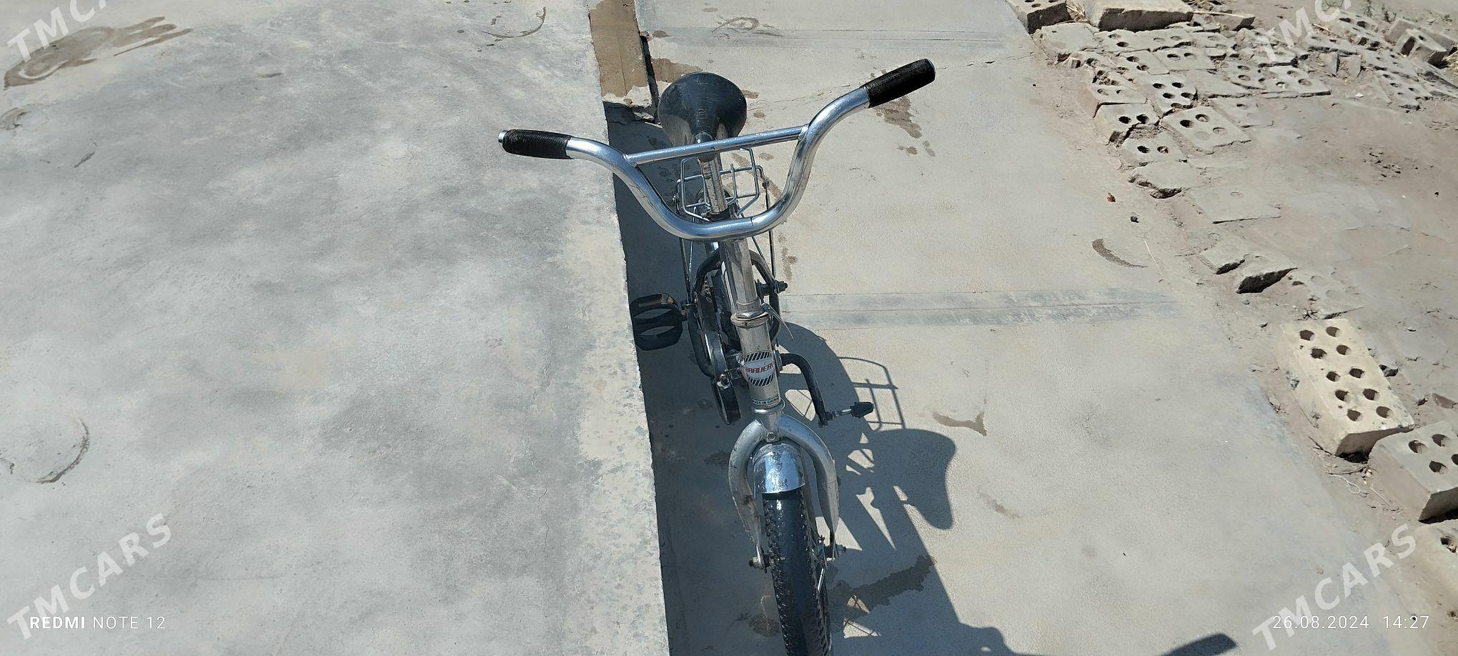 welik - Сакарчага - img 2