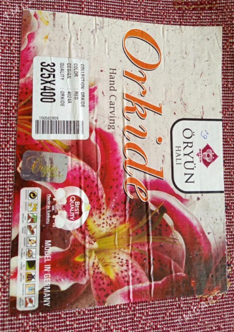 haly - Wekilbazar - img 2