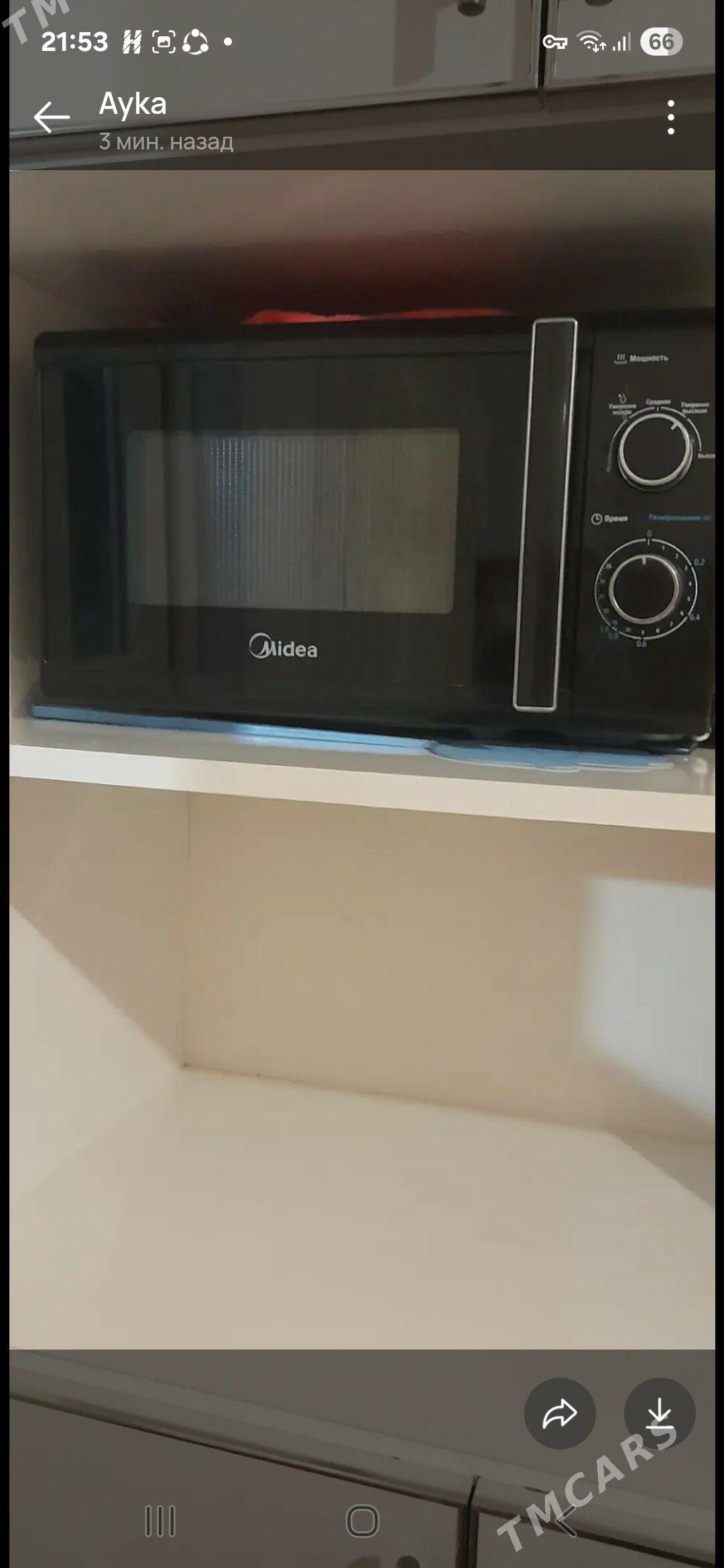 mikrawalnowka - Багир - img 2