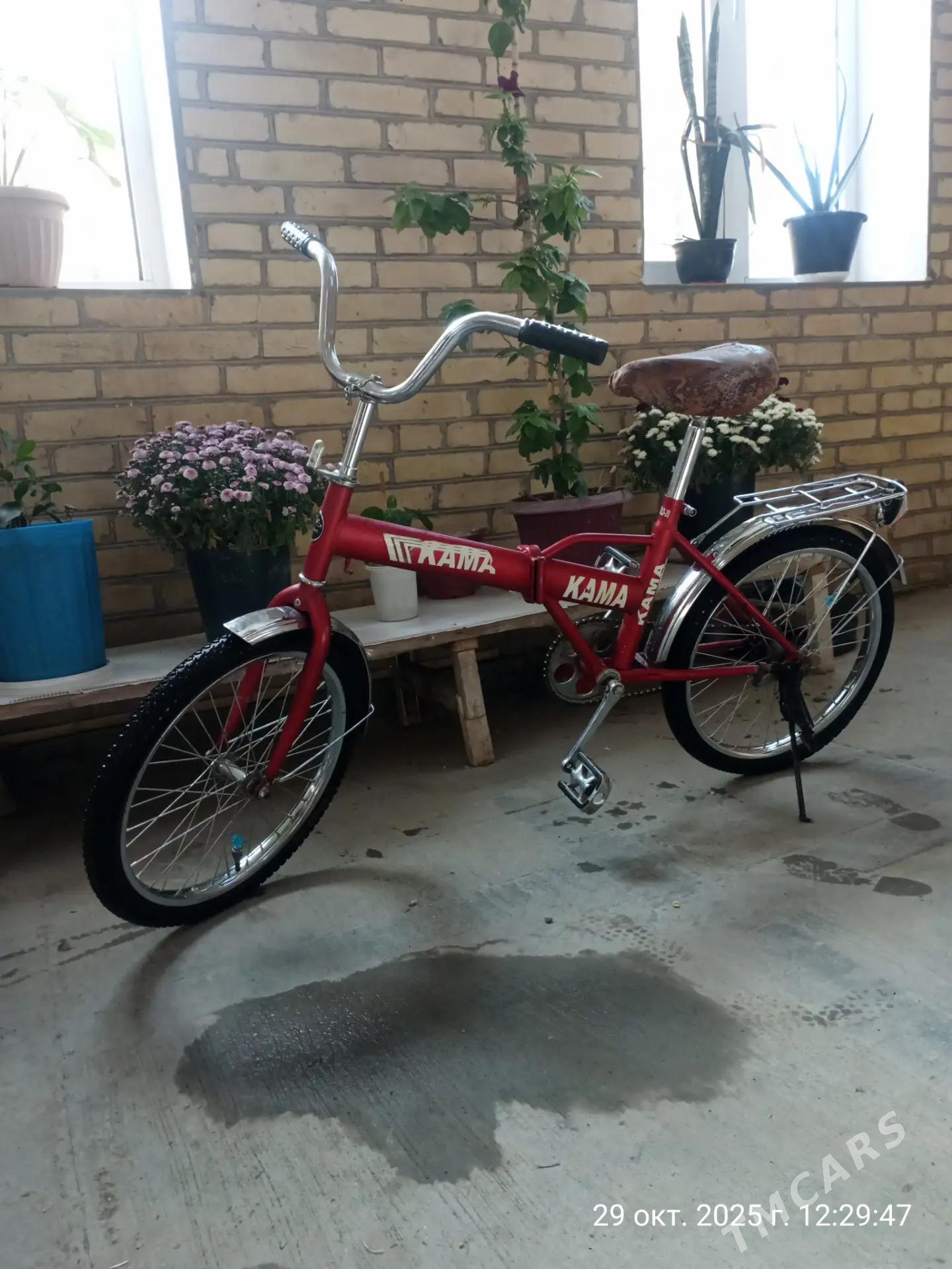 Велосипедлер - Дянев - img 2