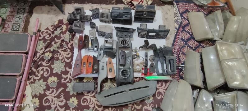 zapcaslar 100 TMT - Mary - img 2