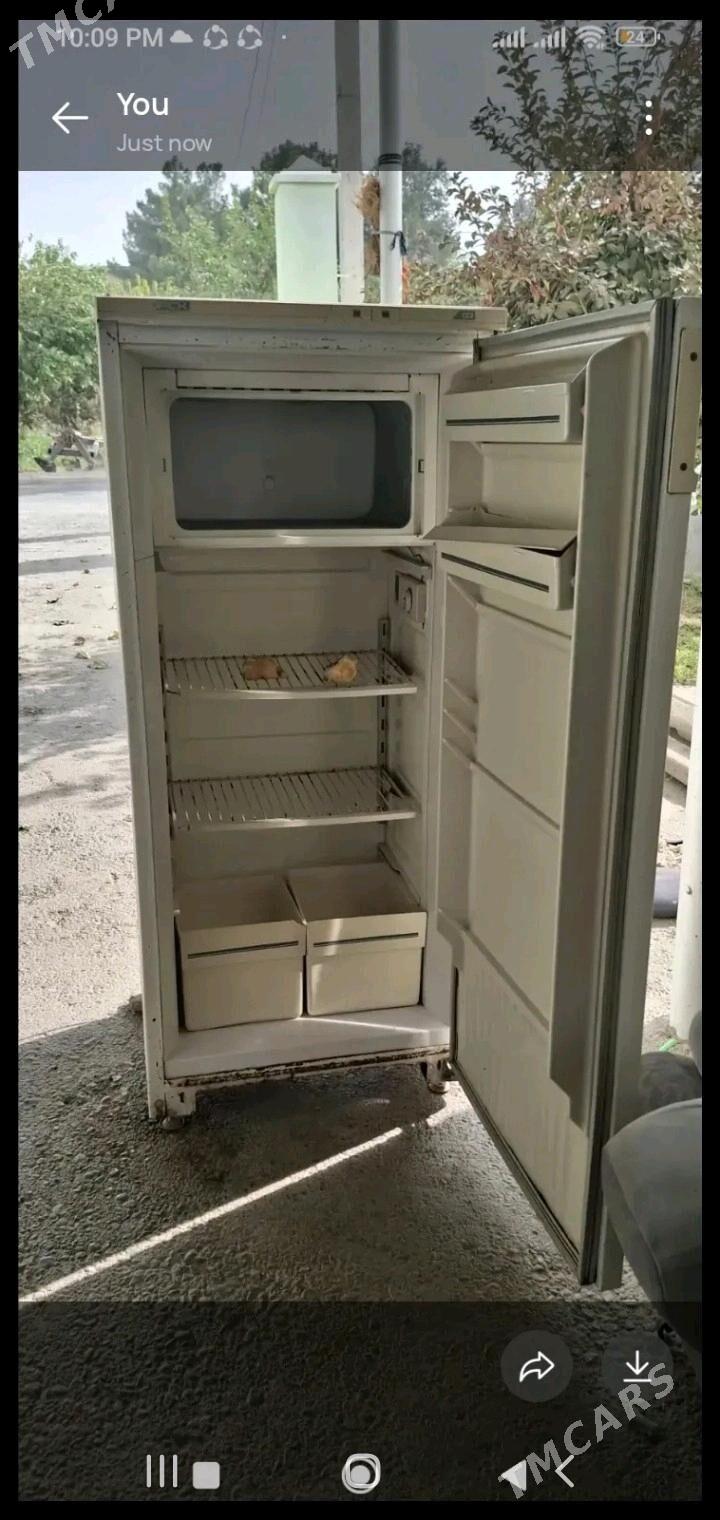 haldinik - Gökje - img 1