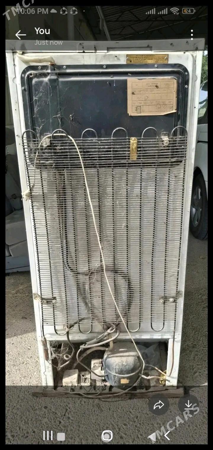 haldinik - Gökje - img 2