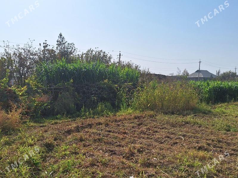 Maralfalfa - Köýtendag - img 1