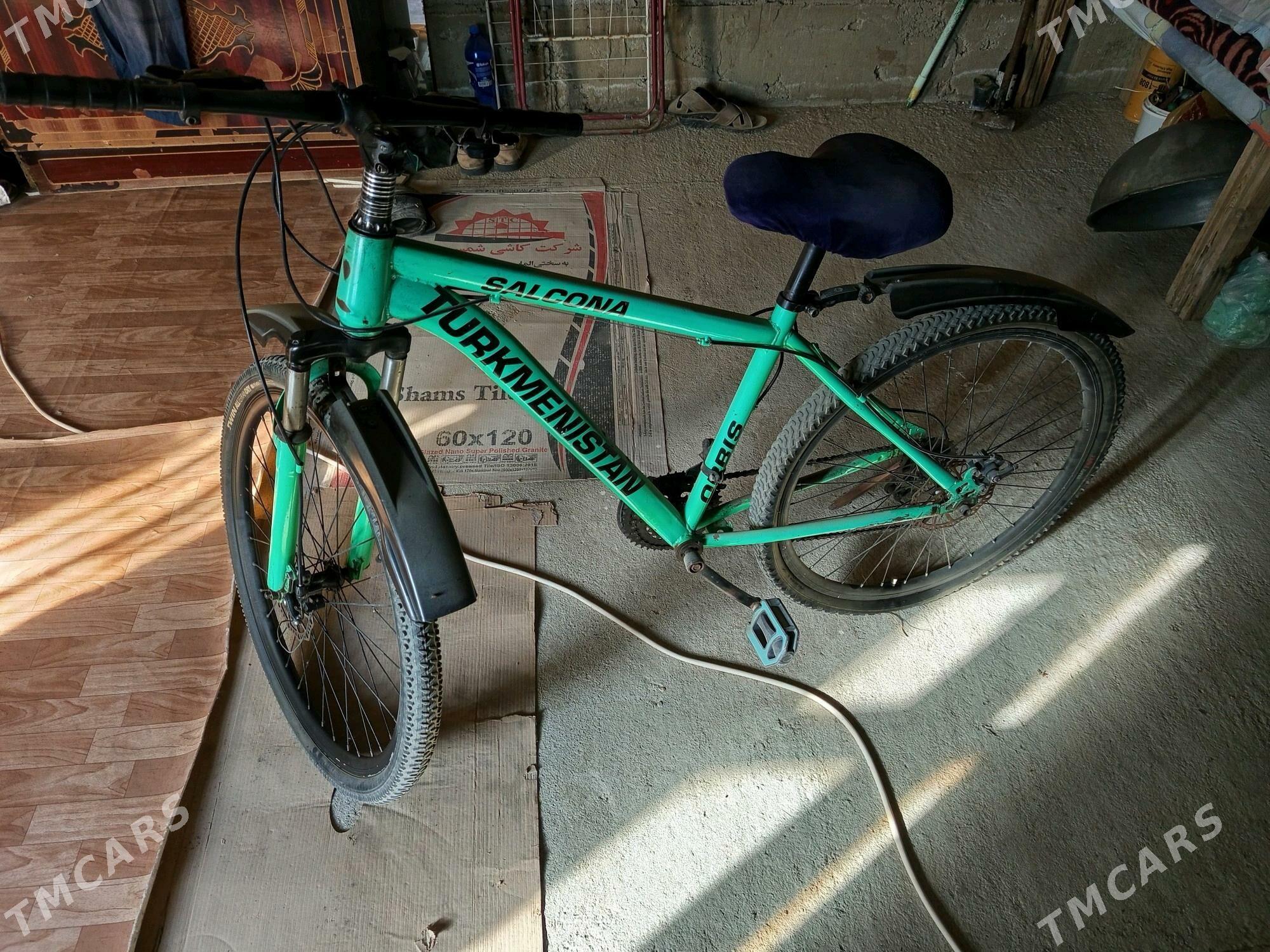 Welik - Гумдаг - img 1