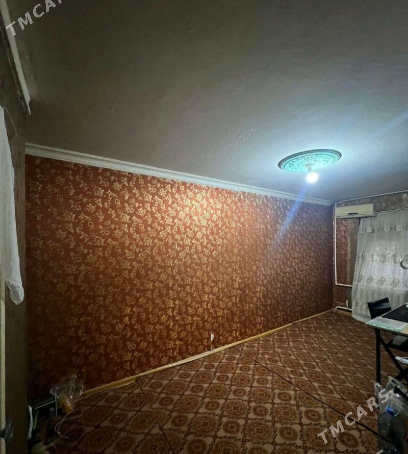 Arenda jay - Mary - img 4