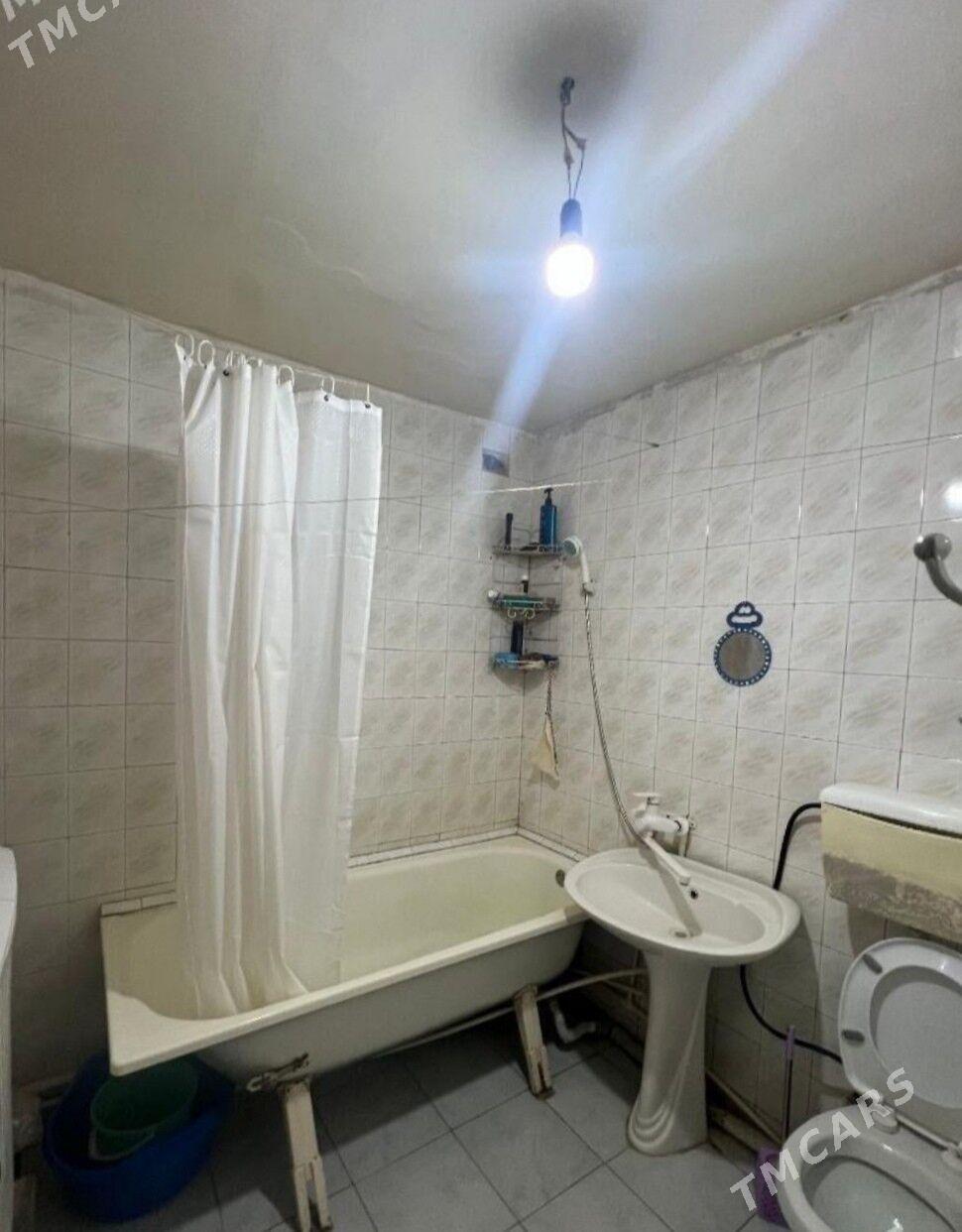 Arenda jay - Mary - img 3