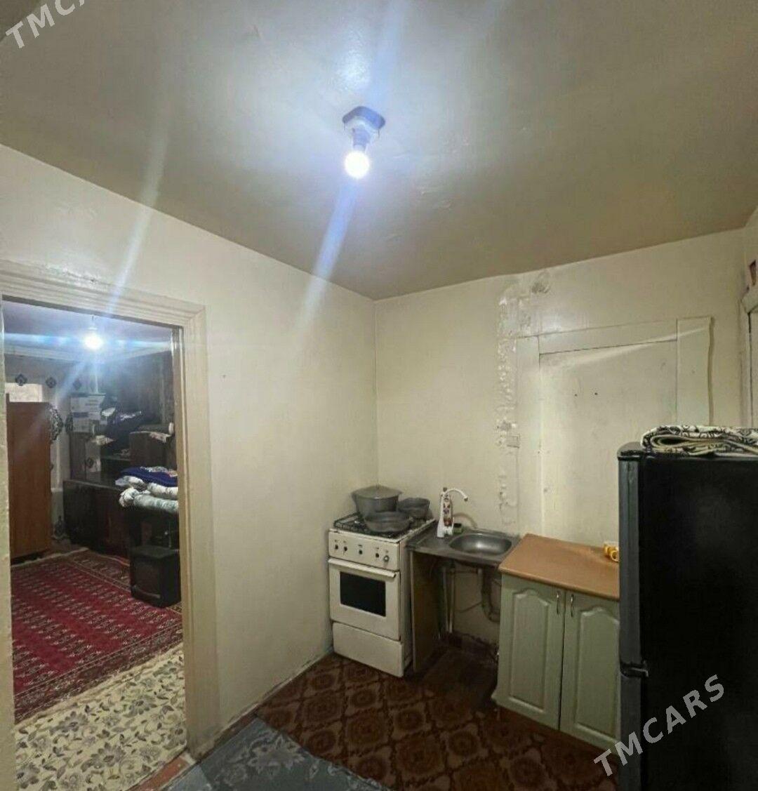 Arenda jay - Mary - img 2