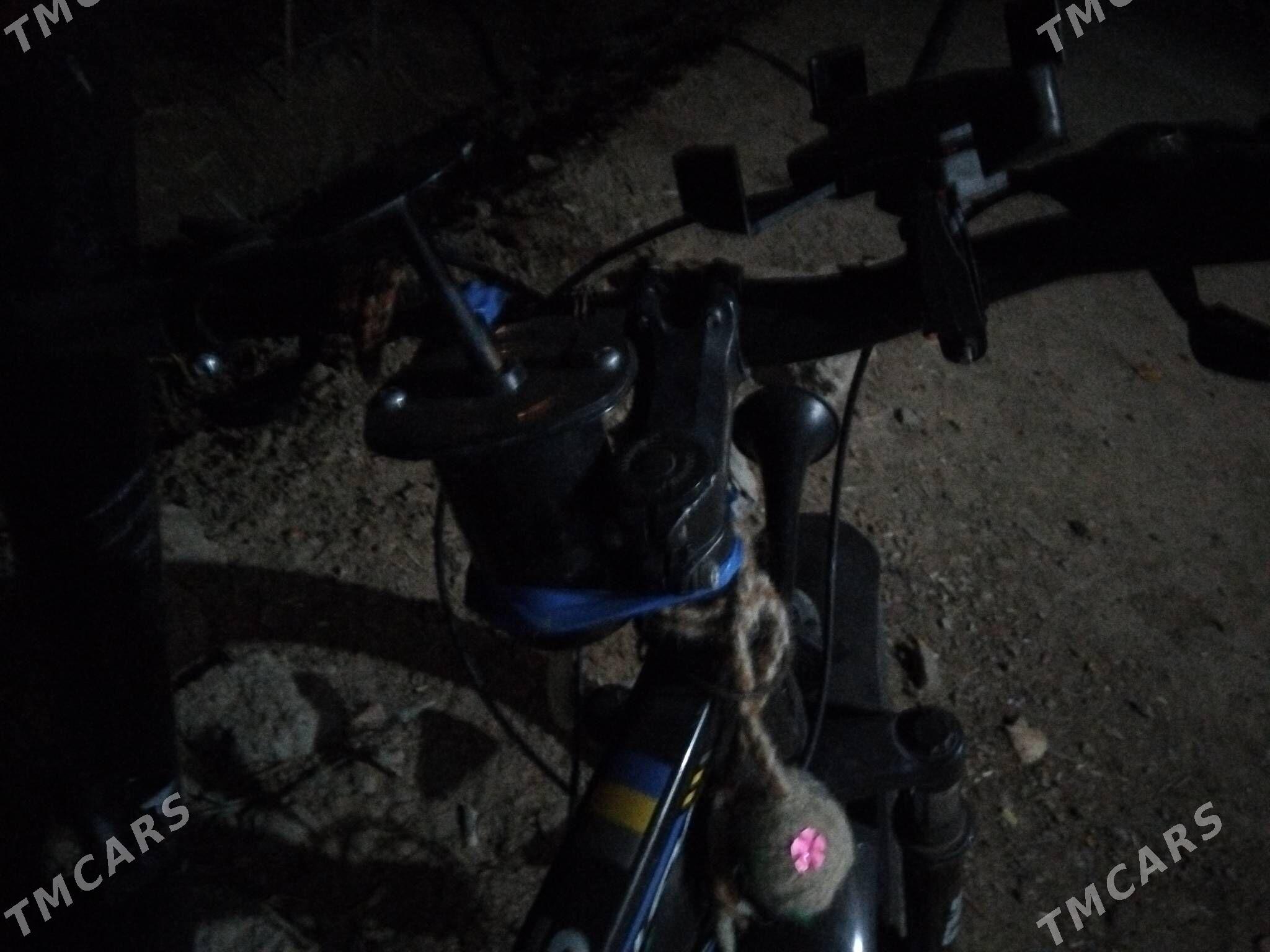 tigir veli - Şabat etr. - img 1