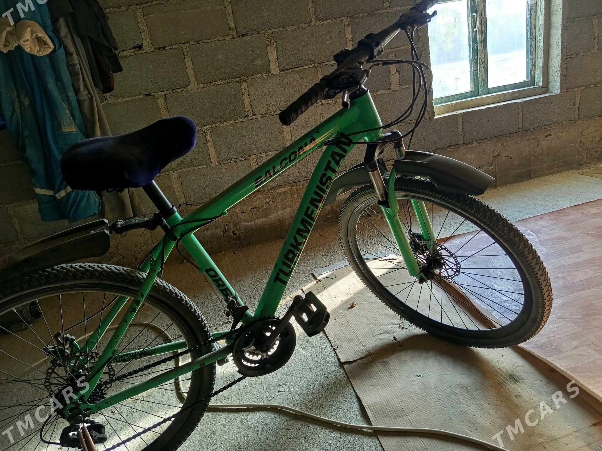 Welik - Гумдаг - img 2