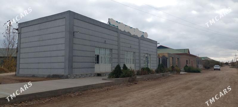 Market, Taýýar Biznes - Гурбансолтан Едже - img 2