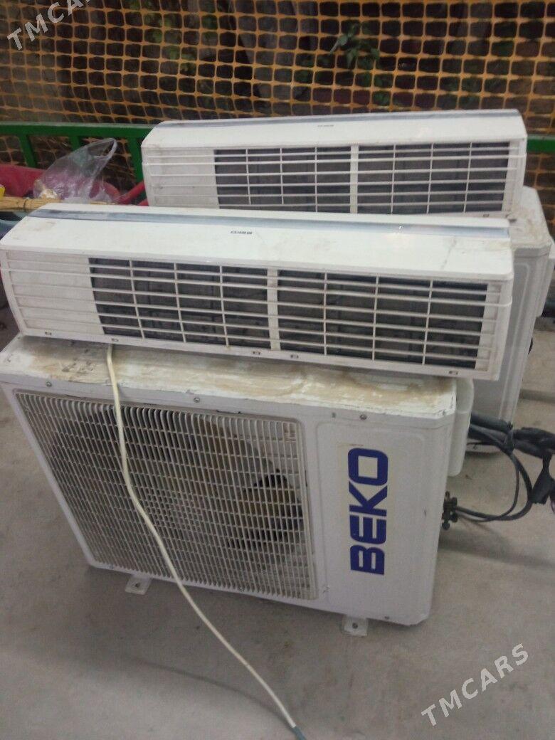 Kandisaner - Büzmeýin - img 1