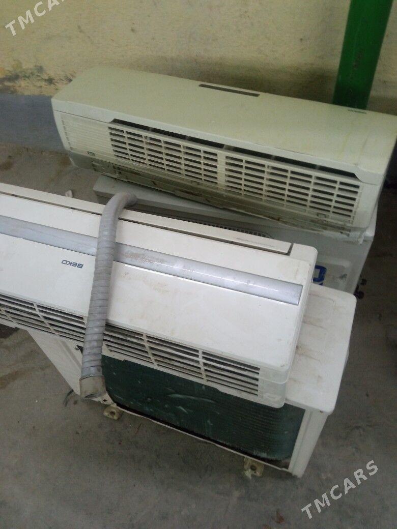 Kandisaner - Büzmeýin - img 4