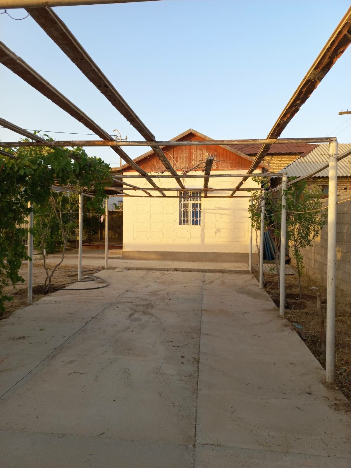 Daça - Balkanabat - img 5