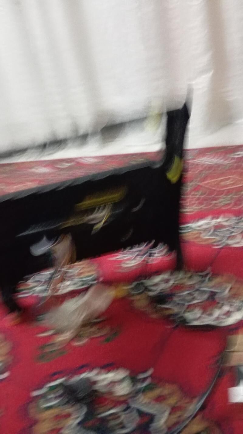 planzet 500 TMT - Ашхабад - img 2